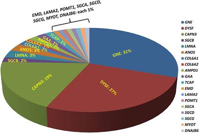 Clinical and Genomic Evaluation of 207 Genetic Myopathies in the Indian Subcontinent